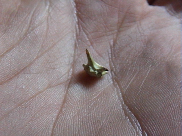 mudanza 16-10-04 027.jpg